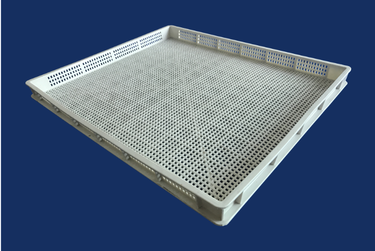 黑龍江水果蔬菜烘干周轉箱